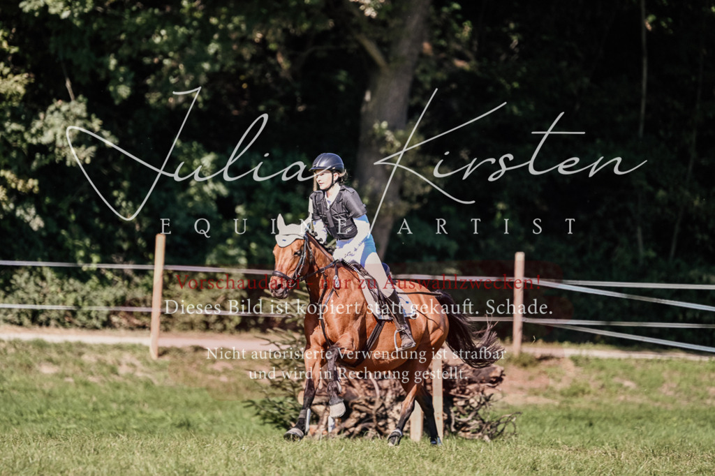 DSC_3474 | Pferde- und Turnierfotografie in Westsachsen. Pferdeportraits, Auftragszeichnungen und intuitive Kunst.