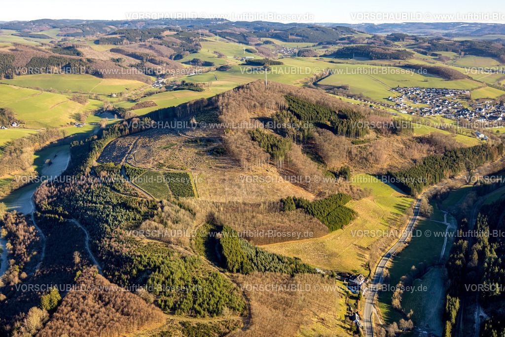 Schmallenberg230205204Dorlar | Luftbild, Waldgebiet mit Waldschäden, Frielinghausen, Eslohe, Sauerland, Nordrhein-Westfalen, Deutschland