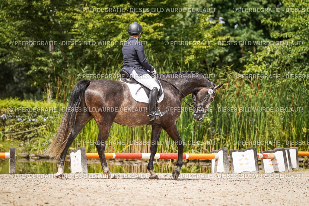 DSC03157 | Pferdegrafie