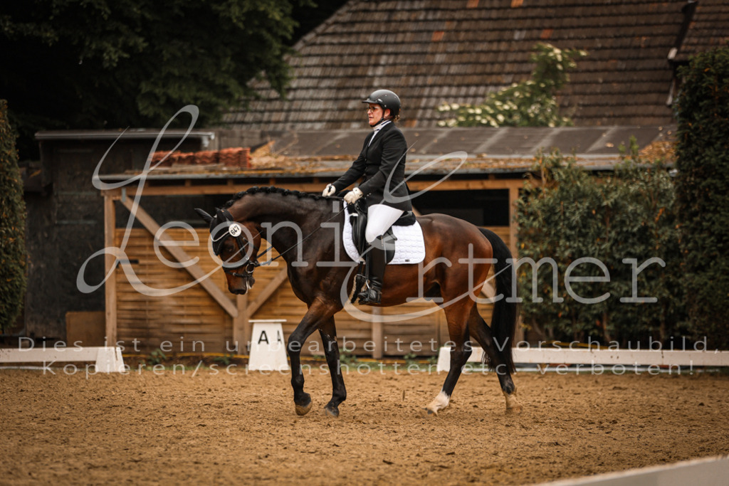 DoDrA200139 | Leoni Ertmer Photography - Realisiert mit Pictrs.com