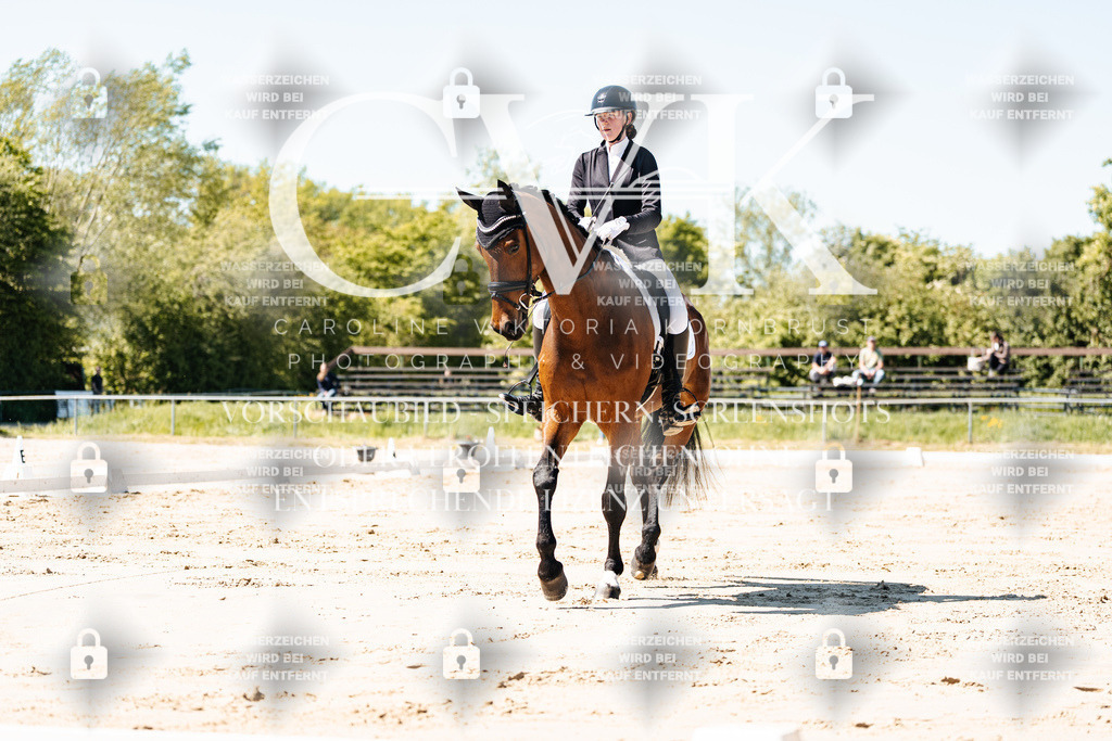 CK905131 | Turnierfotografie Pferdefotografie Trier Rheinland-Pfalz Pferdesport Reitsport Tierfotografie Sportfotografie Pferdevideo Pferdevideografie Equestrianvideography equestrianphotography  - Realisiert mit Pictrs.com