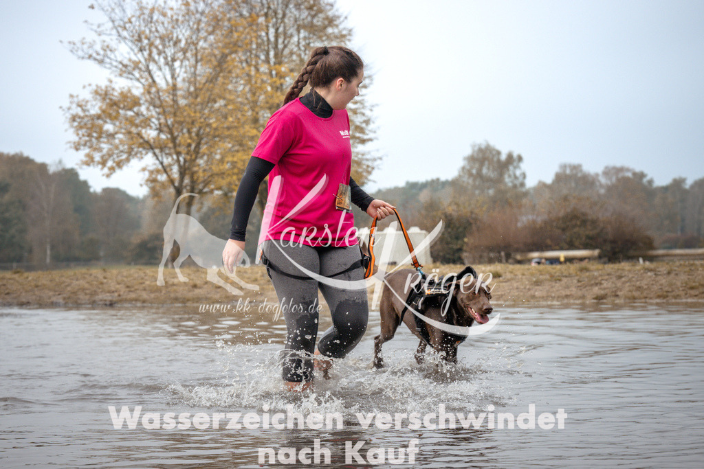1114_ZZ93356 | kk-dogfotos