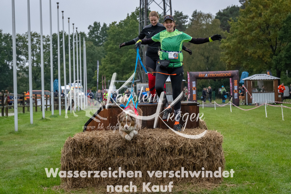 1101-93201 | kk-dogfotos