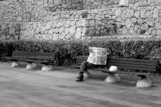 Zeitungsleser mit Katze | Straßenfotografie aus Antalya