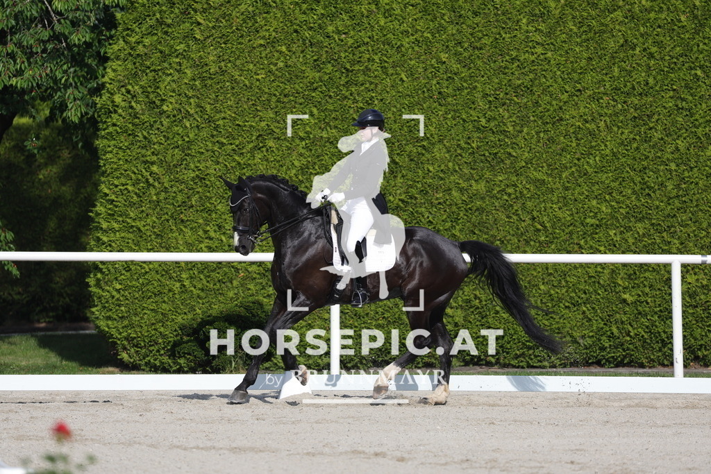 0P6A3552 | Willkommen bei Brunnmayr - Design & Fotografie – Ihrem Spezialisten für Reitturniere und Pferdeveranstaltungen in Oberösterreich, Salzburg und Bayern! Seit über 17 Jahren sind wir leidenschaftlich dabei.