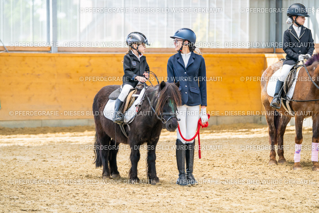 DSC00766 | Pferdegrafie