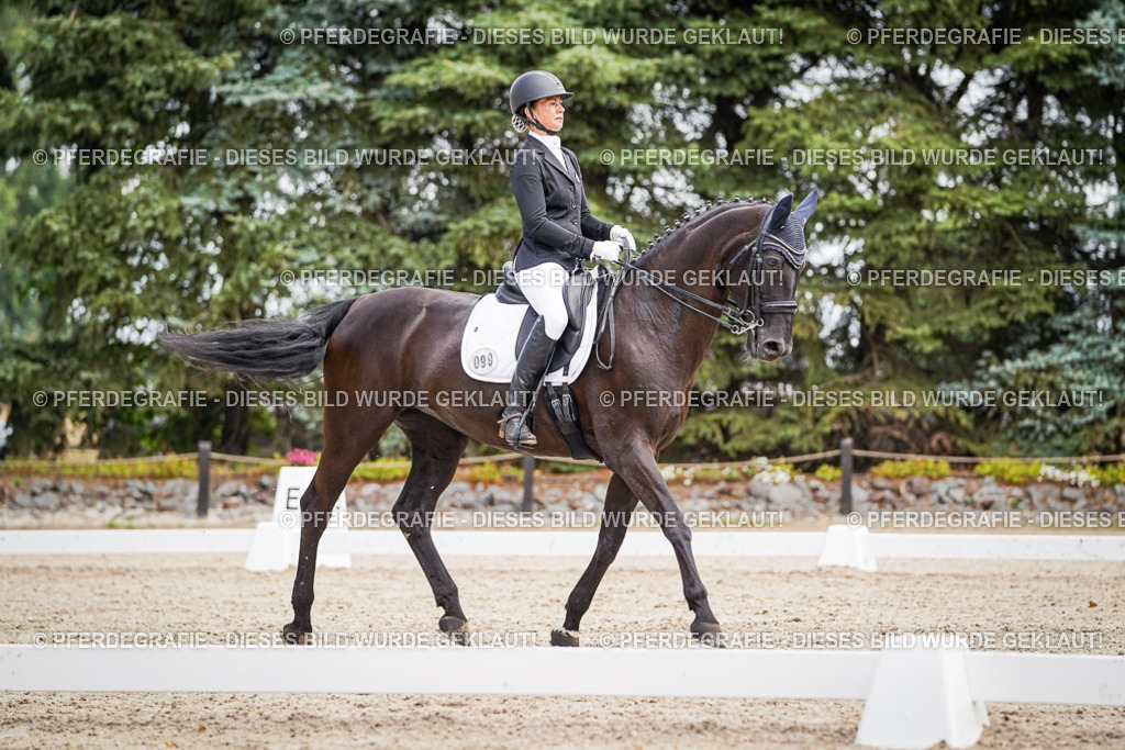 DSC03564 | Pferdegrafie