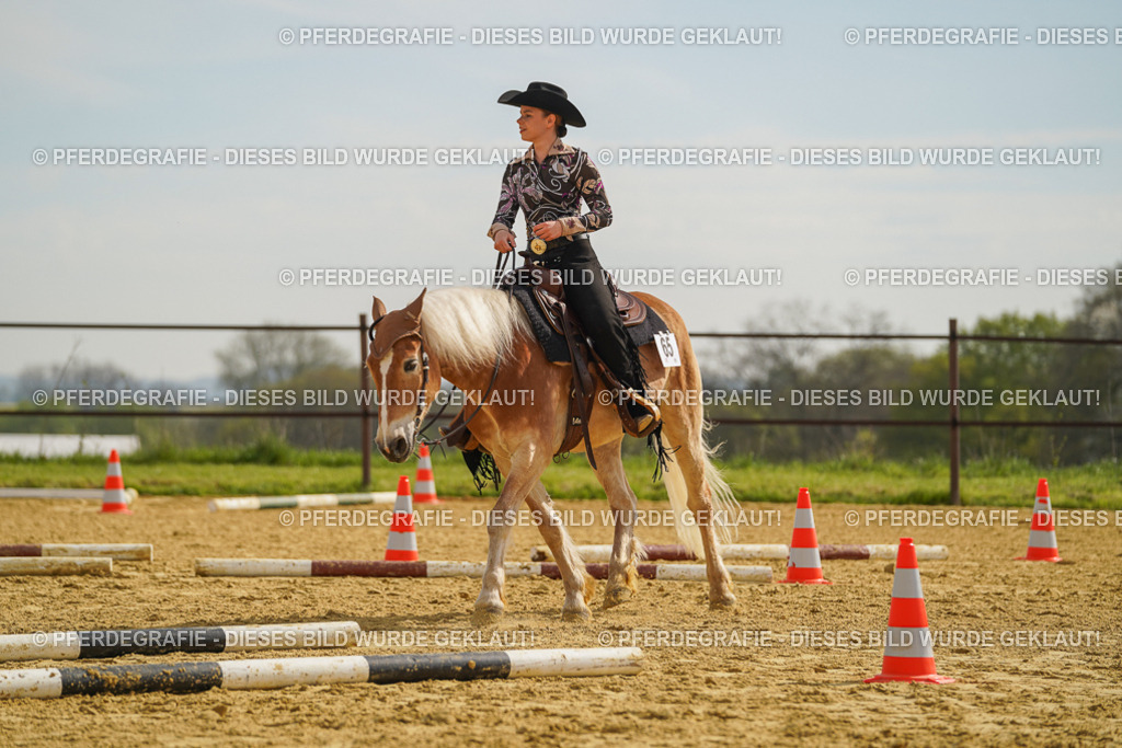 DSC01749 | Pferdegrafie