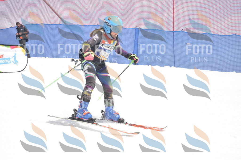 _ELE8894 | holidayphoto