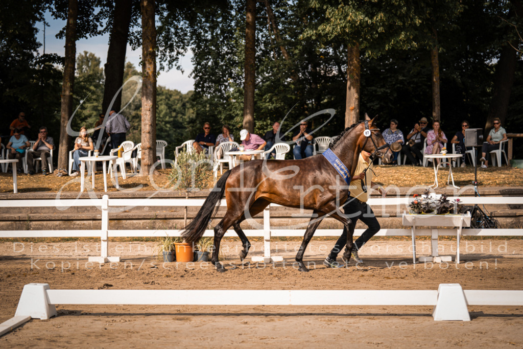 FrER00215 | Leoni Ertmer Photography - Realisiert mit Pictrs.com