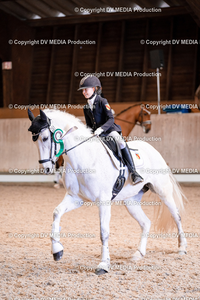 Dressur Tag 2-085 | dv-media-shop - Realisiert mit Pictrs.com