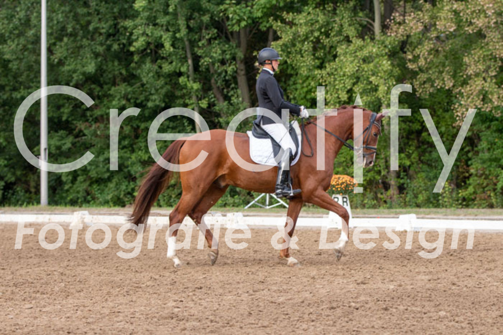 IMG_4976 | Creatify Fotografie