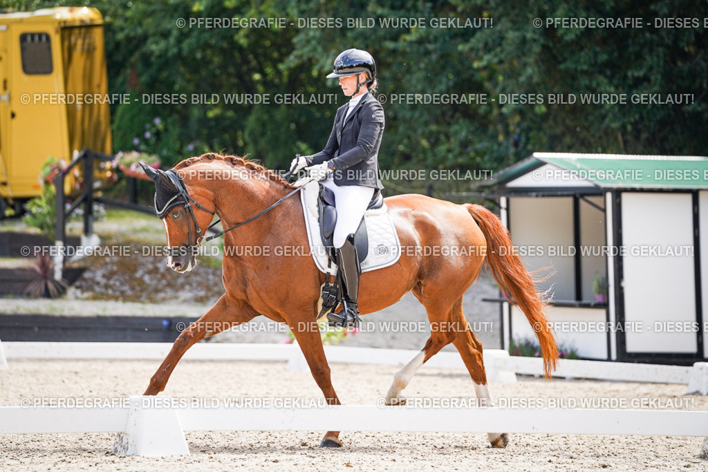 DSC09958 | Pferdegrafie