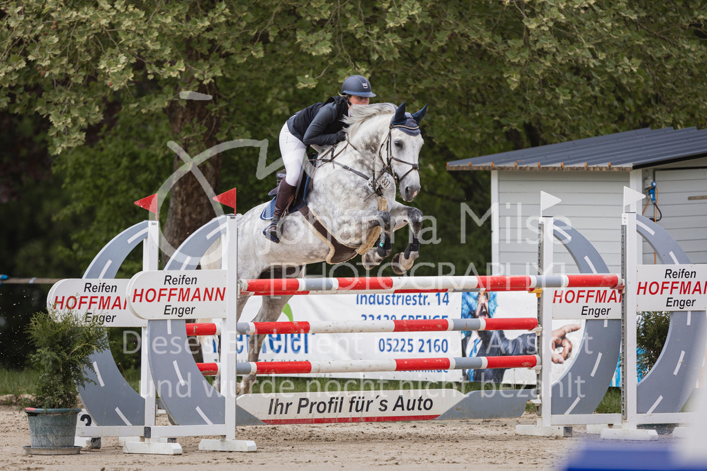 250504_SpengeW_M2-Spr-463 | Deine schönsten Turniermomente als professionelle Fotos! Entdecke hochwertige Pferdesport-Fotografie im Online-Shop. Jetzt Fotos finden & bestellen!