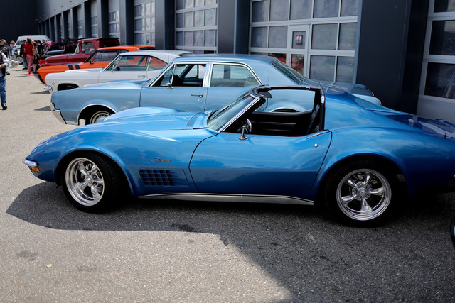 Calag_Oldtimer2025-23 | Ich fotografiere Hundeausstellungen, Sportanlässe, Zuchtstätten, Hundezucht, Hundeportrait, Lagotto - Realisiert mit Pictrs.com