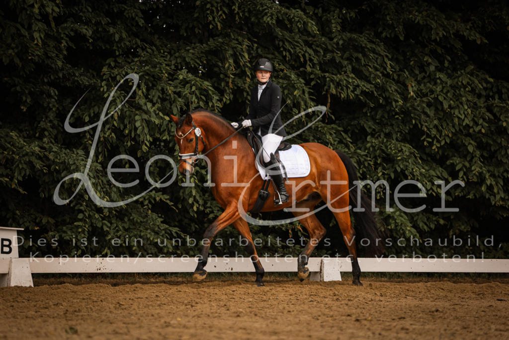 DoDrA00332 | Leoni Ertmer Photography - Realisiert mit Pictrs.com