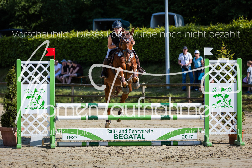 Donop24-ASpr-019 | MomenTaufnahmen Pferdesportfotos