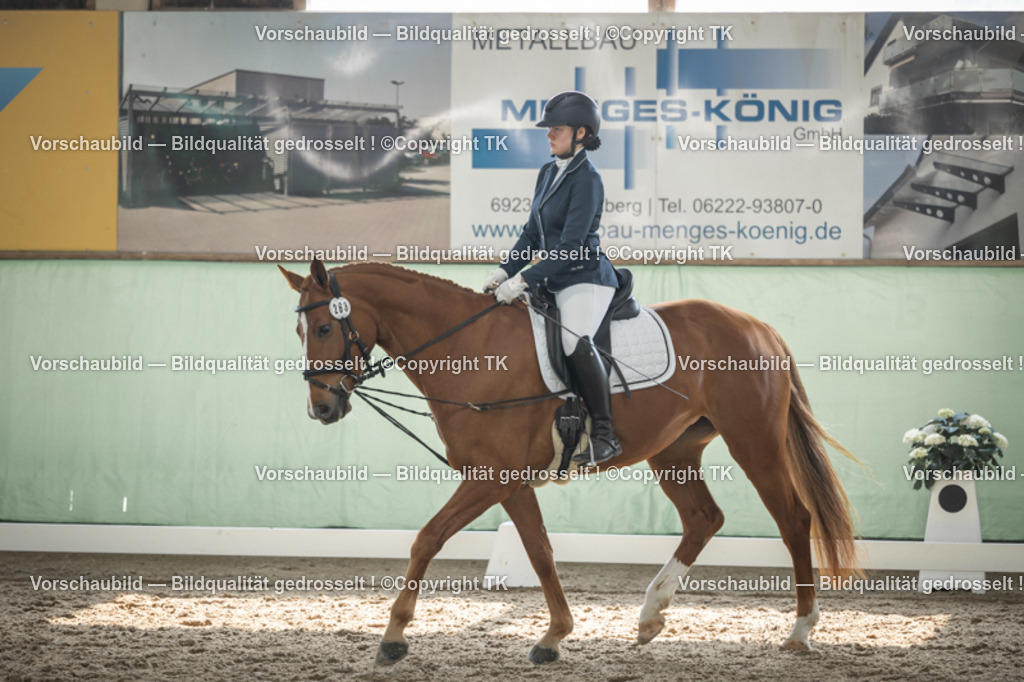 _D5A5582 | Emotionale Pferde- & People-Fotografie rund um Heidelberg, Leimen & Umgebung. Natürliche Fotos von Pferd, Mensch & Familie. Jetzt Termin sichern!