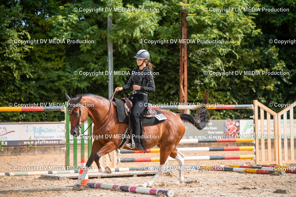 ZS2_7524 | dv-media-shop - Realisiert mit Pictrs.com