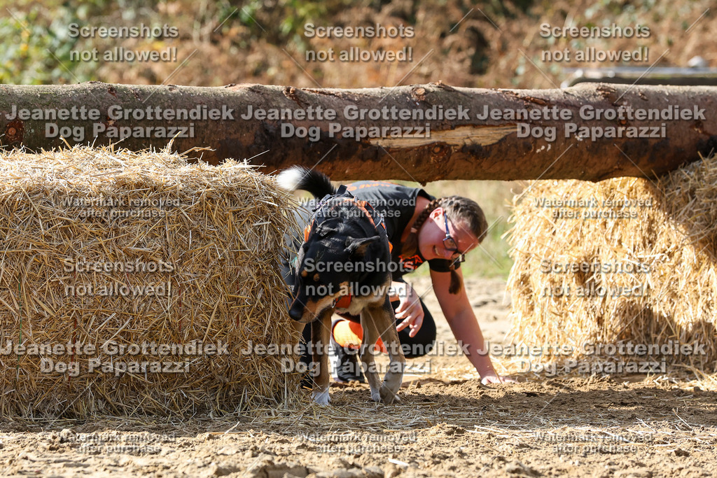 Dog Paparazzi - Strongdog 10-25-5277 | Dog Paparazzi Jeanette Grottendiek Fotografie & Videografie - Realisiert mit Pictrs.com