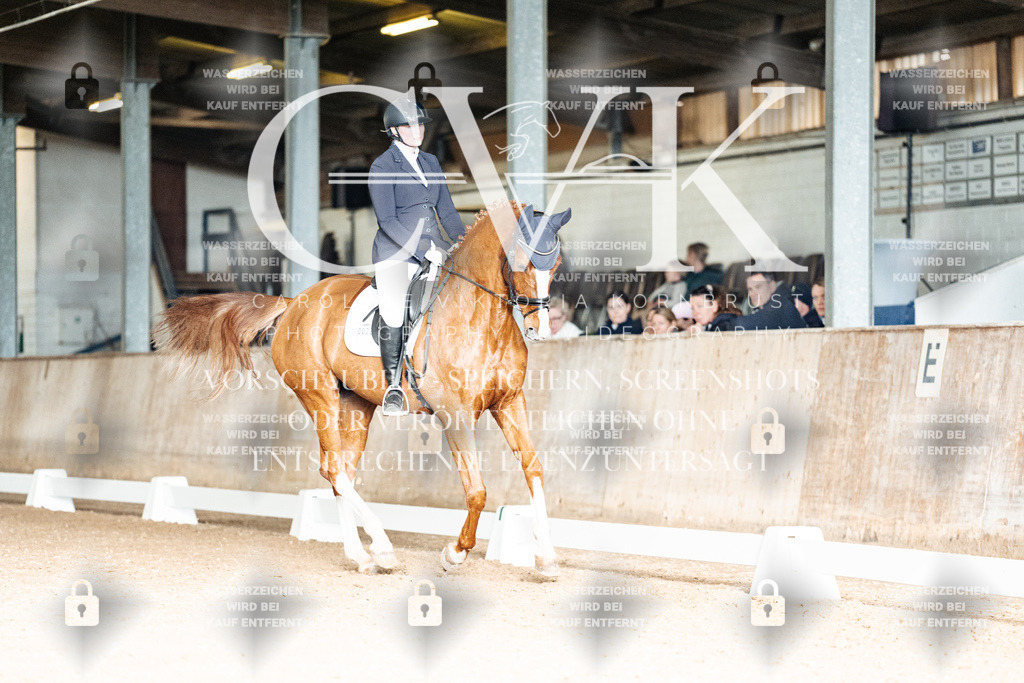 CK902809 | Turnierfotografie Pferdefotografie Trier Rheinland-Pfalz Pferdesport Reitsport Tierfotografie Sportfotografie Pferdevideo Pferdevideografie Equestrianvideography equestrianphotography  - Realisiert mit Pictrs.com