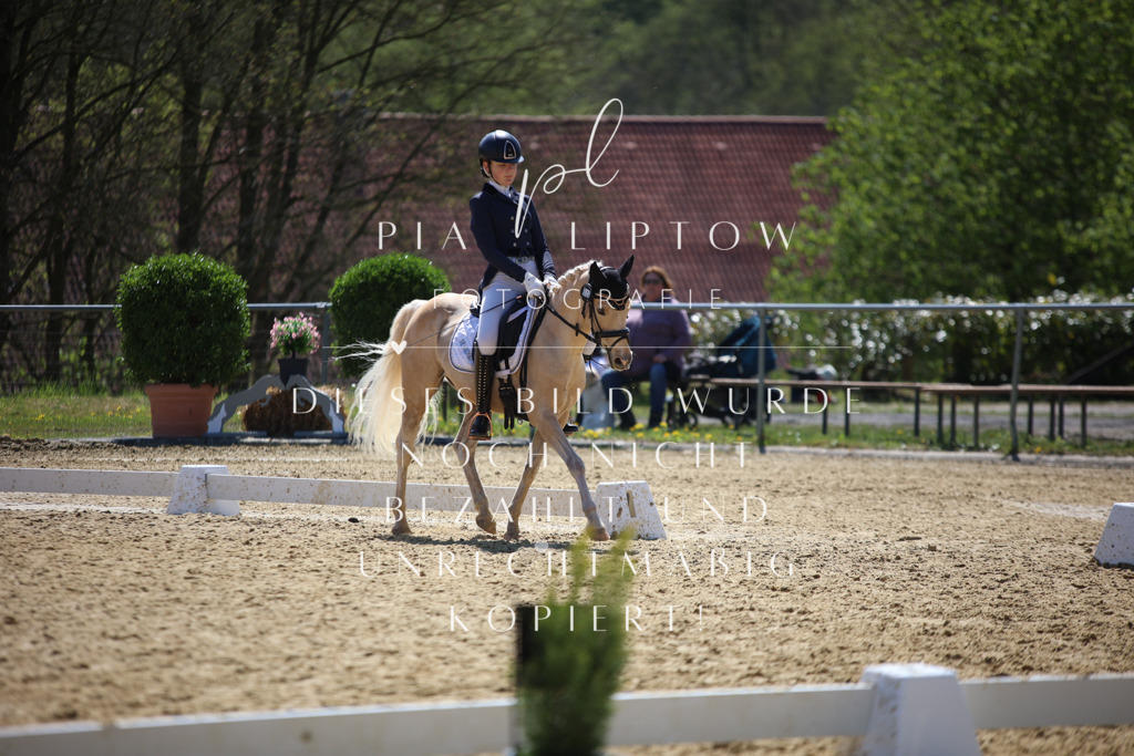 IMGT2308 | pl-fotografie