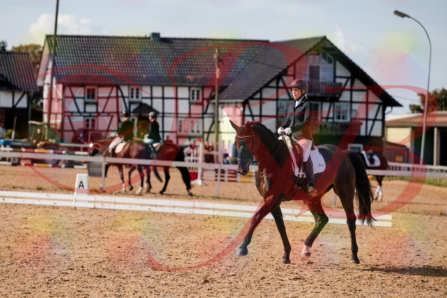 2026_10_03_Siefer-Hof_133618_Z63_96653885 | Professionelle Reitsport-, Turnier- und Eventfotografie von Robert Broda. Galerien mit ausgewählten und bearbeiteten Bildern direkt online ansehen und bestellen.