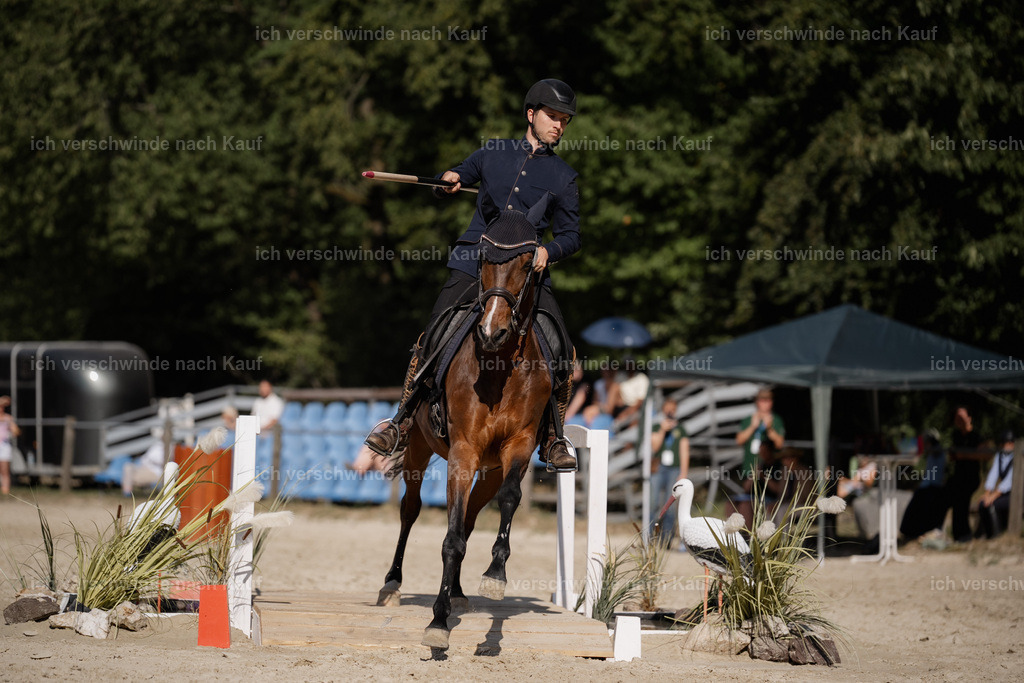 WS_SP_38_Stoibphotography_SO11515 | working equitationturnier fotograf videograf stoibphotography marixx film working equitation deutschland reitsport turnierfotografie eventfotografie equestrian events
