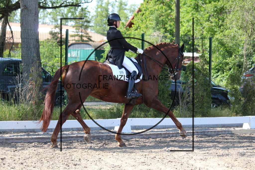 IMG_5105 | franziskalange - Realisiert mit Pictrs.com