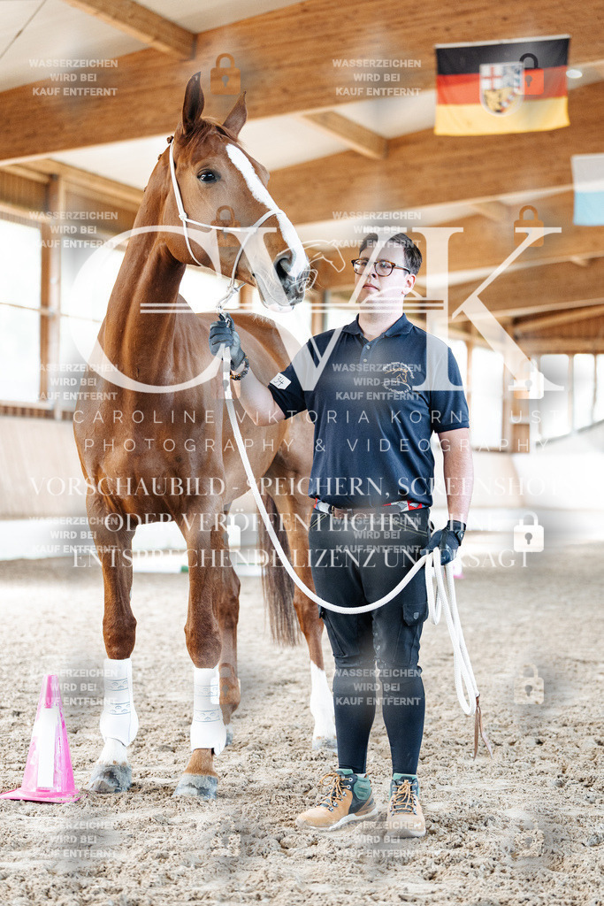CK905863 | Turnierfotografie Pferdefotografie Trier Rheinland-Pfalz Pferdesport Reitsport Tierfotografie Sportfotografie Pferdevideo Pferdevideografie Equestrianvideography equestrianphotography  - Realisiert mit Pictrs.com