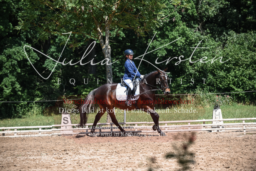 DSC_3372 | Pferde- und Turnierfotografie in Westsachsen. Pferdeportraits, Auftragszeichnungen und intuitive Kunst.