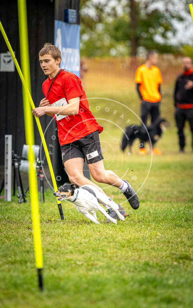 Pfotenfotografie_DV3A0539 | Hundefotografie, Tierfotograf, Pfotenfotografie, Fotoshooting Hund, Hunde Portrait, Hundesport, Hundeportraits, Heideshooting, Hunde, Sportfotograf, Hundefotograf, Turnierhundsport, THS,  - Realisiert mit Pictrs.com