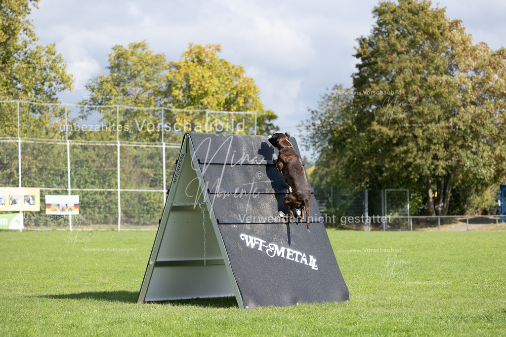 _16A6911 | Einzigartige Fotos von Hunden & Menschen –Actionfotos, Portraits, Vereinsaufnahmen & Paarshootings – authentisch, lebendig & mit Herz.