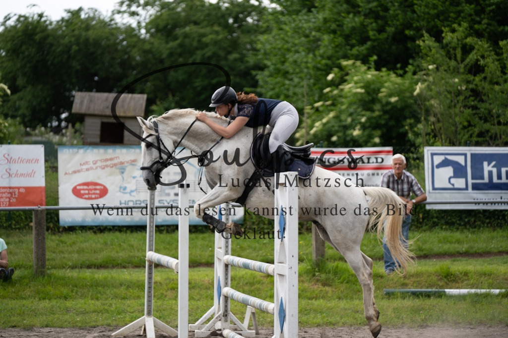 A7V04937 | Pferdefotograf