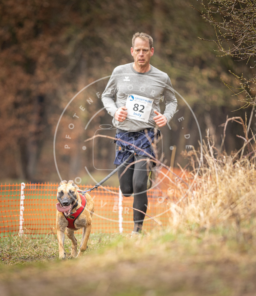 DV3A0338 | Hundefotografie, Tierfotograf, Pfotenfotografie, Fotoshooting Hund, Hunde Portrait, Hundesport, Hundeportraits, Heideshooting, Hunde, Sportfotograf, Hundefotograf, Turnierhundsport, THS,  - Realisiert mit Pictrs.com