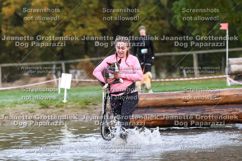 Dog Paparazzi - Strongdog 10-25-6415 | Dog Paparazzi Jeanette Grottendiek Fotografie & Videografie - Realisiert mit Pictrs.com