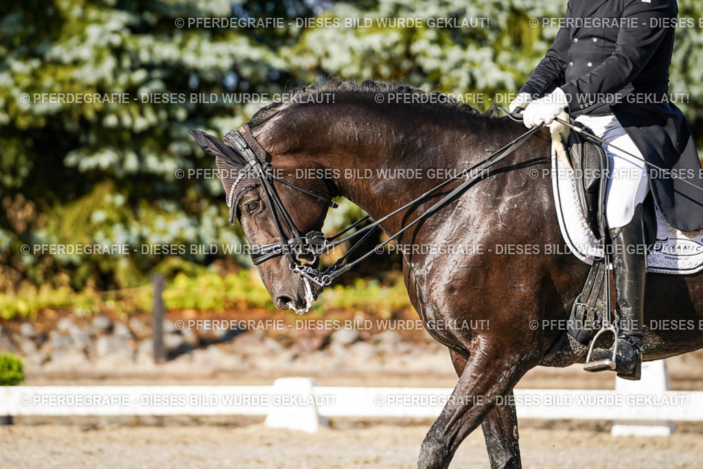 DSC00763 | Pferdegrafie