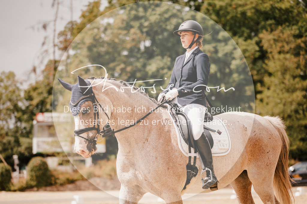 3I6A6166 | Stimmungsvolle Portraits und Reitsportfotografie im Ruhrgebiet und im Münsterland.

Pferdefotografie, Hundefotografie, Tierfotografie, Reportagen, Portraits von Tier und Mensch, Turnierfotografie in Bochum, Recklinghausen, Marl, Haltern am See, Dülmen.. - Realisiert mit Pictrs.com