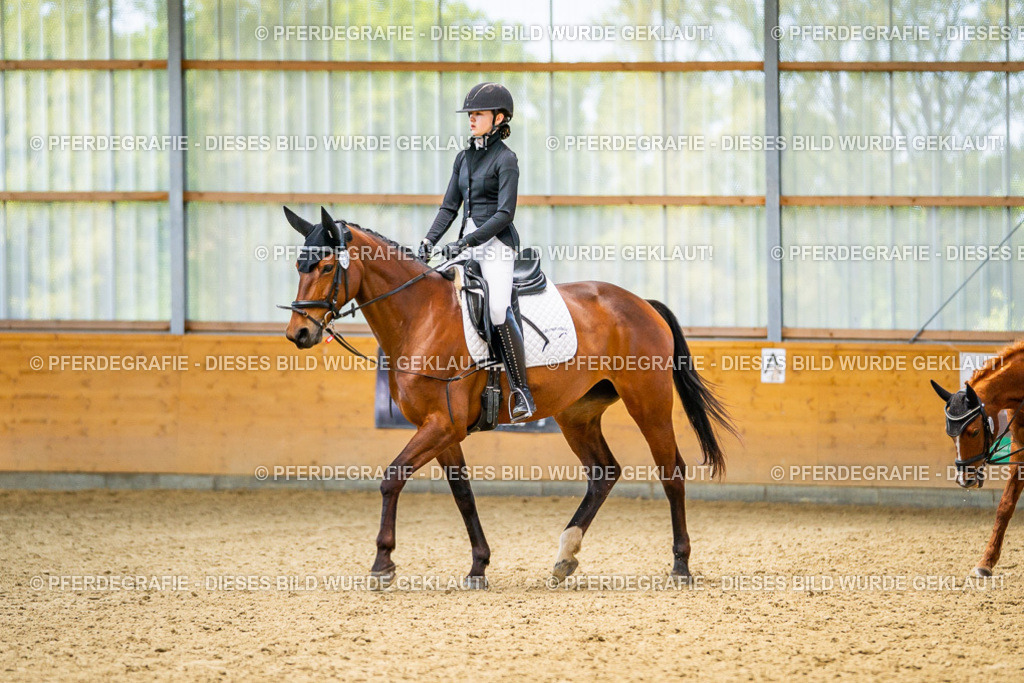 DSC03580 | Pferdegrafie