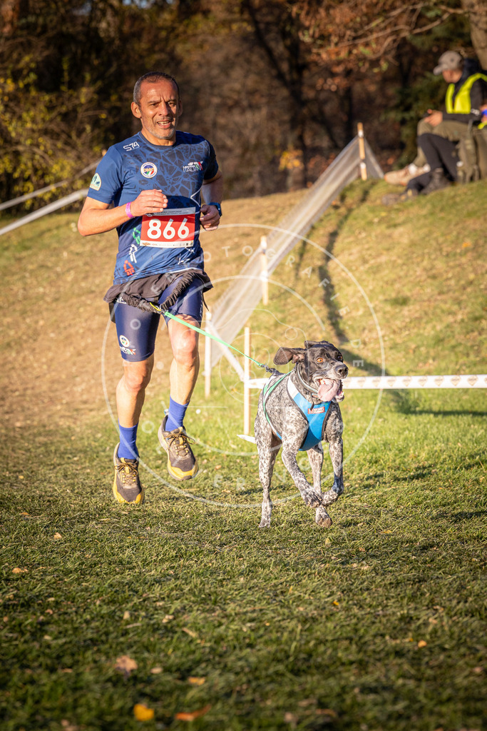 CaniXpix_0L8A1059 | Hundefotografie, Tierfotograf, Pfotenfotografie, Fotoshooting Hund, Hunde Portrait, Hundesport, Hundeportraits, Heideshooting, Hunde, Sportfotograf, Hundefotograf, Turnierhundsport, THS,  - Realisiert mit Pictrs.com