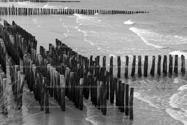 Holzpfähle im Meer bei Wissant V | Gesehen in der Normandie