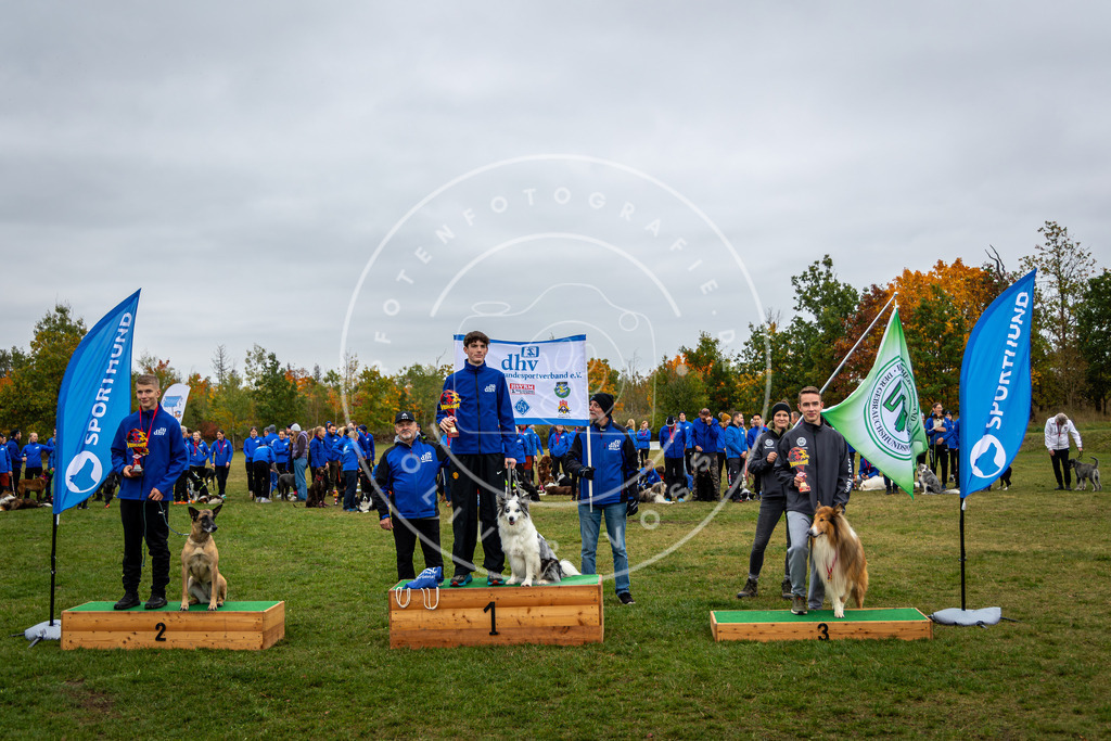 Pfotenfotografie_0L8A0517 | Hundefotografie, Tierfotograf, Pfotenfotografie, Fotoshooting Hund, Hunde Portrait, Hundesport, Hundeportraits, Heideshooting, Hunde, Sportfotograf, Hundefotograf, Turnierhundsport, THS,  - Realisiert mit Pictrs.com