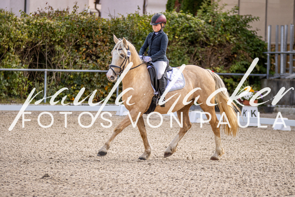 IMG_3478 | Erleben Sie dynamische Sport- und emotionale Tierfotografie in Süddeutschland mit Fotos von Paula. Spezialisiert auf Pferde- und Hundefotografie sowie Sportevents. Kontaktieren Sie mich für einzigartige und ausdrucksstarke Bilder Ihrer besonderen Momente. - Realisiert mit Pictrs.com