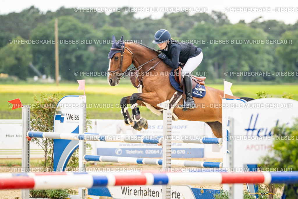 DSC06248 | Pferdegrafie