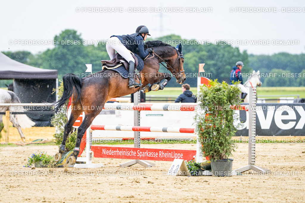 DSC07357 | Pferdegrafie