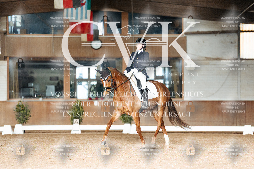 CK903138 | Turnierfotografie Pferdefotografie Trier Rheinland-Pfalz Pferdesport Reitsport Tierfotografie Sportfotografie Pferdevideo Pferdevideografie Equestrianvideography equestrianphotography  - Realisiert mit Pictrs.com