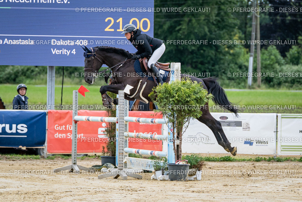 DSC04024 | Pferdegrafie