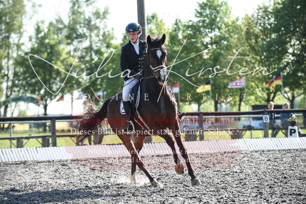 DSC_8300 | Pferde- und Turnierfotografie in Westsachsen. Pferdeportraits, Auftragszeichnungen und intuitive Kunst.
