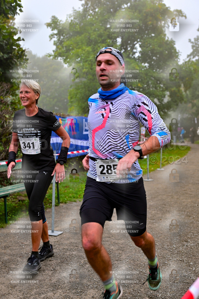 Z8N_1209 | la-psv - Realisiert mit Pictrs.com