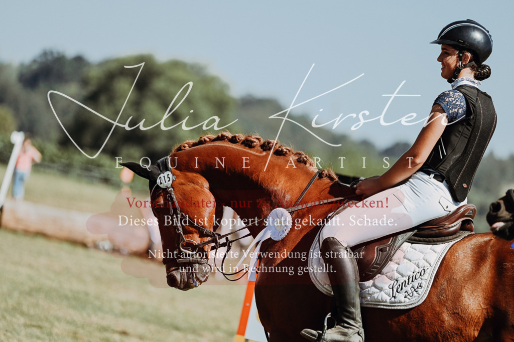 DSC_0130 | Pferde- und Turnierfotografie in Westsachsen. Pferdeportraits, Auftragszeichnungen und intuitive Kunst.